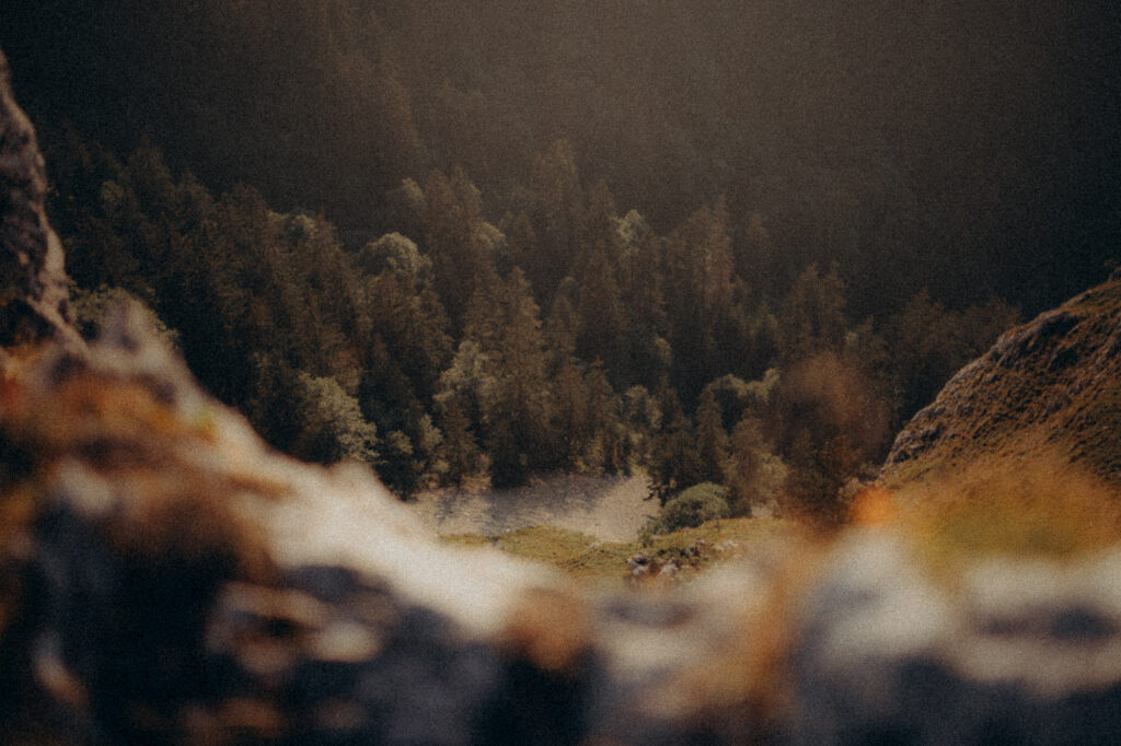 Paysage de montagne au crépuscule, rochers et forêt, Charmant Som Chartreuse