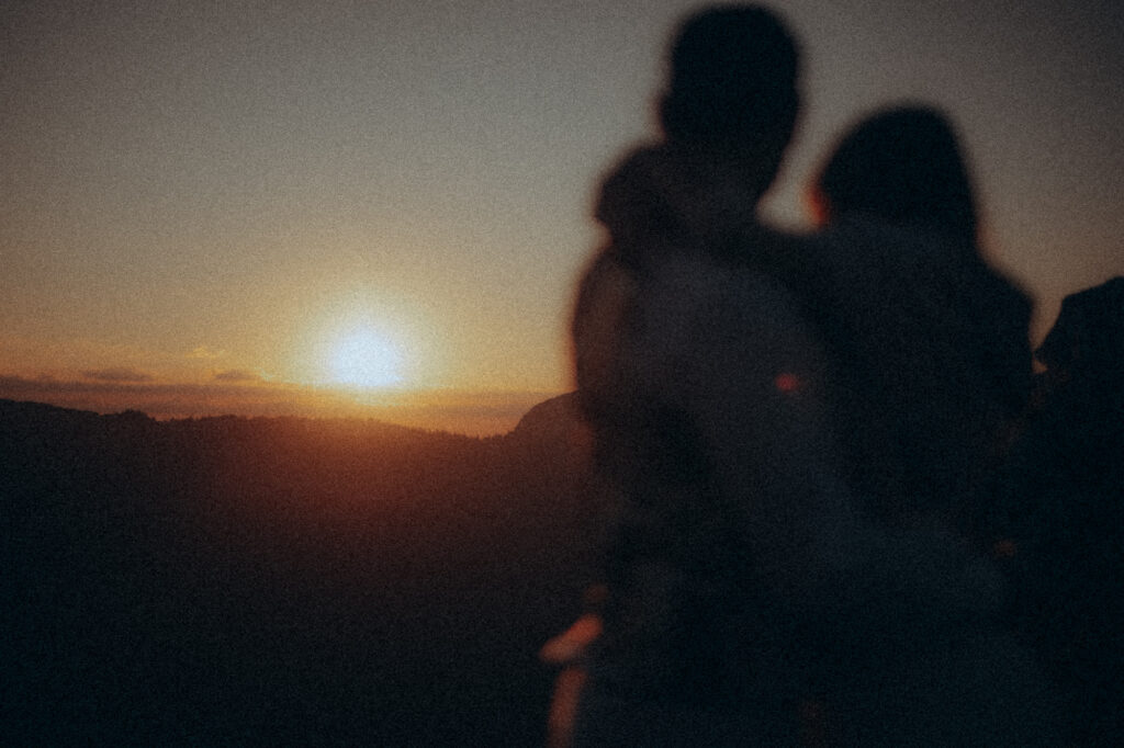 Mariée de dos dans la lumière du soir, Chartreuse