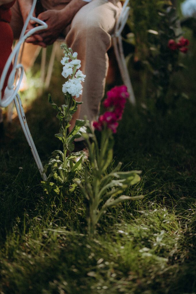  Fleurs roses dans l'herbe derrière une chaise, détail de la cérémonie