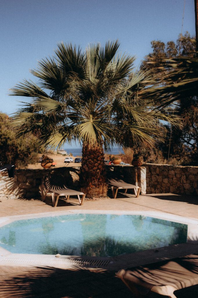 Palmier devant la petite piscine de la villa, mer en arrière-plan